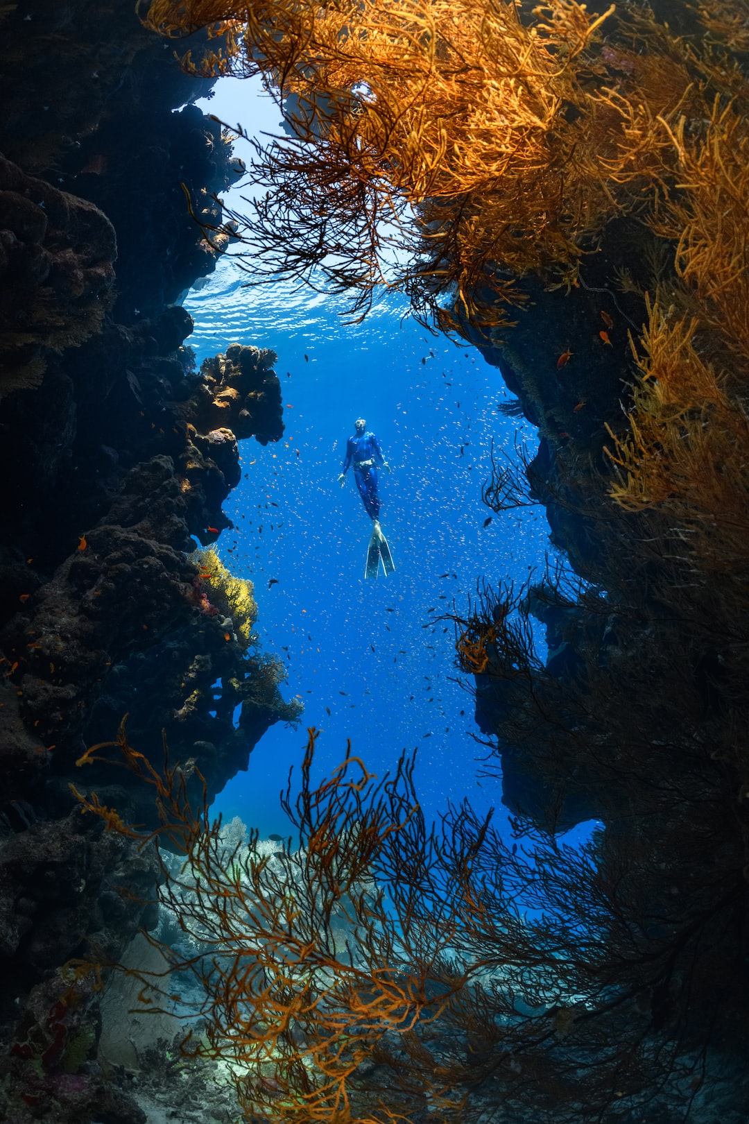 a person swimming in the ocean surrounded by seaweed