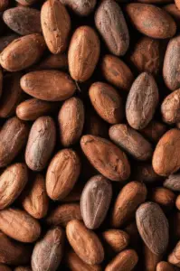 Featured image for 7 Best Heavy Metal Free Cocoa Beans You Can Trust in 2025