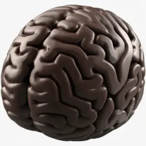 Featured image for How Longevity Studies Reveal Chocolates Brain Boost 2025